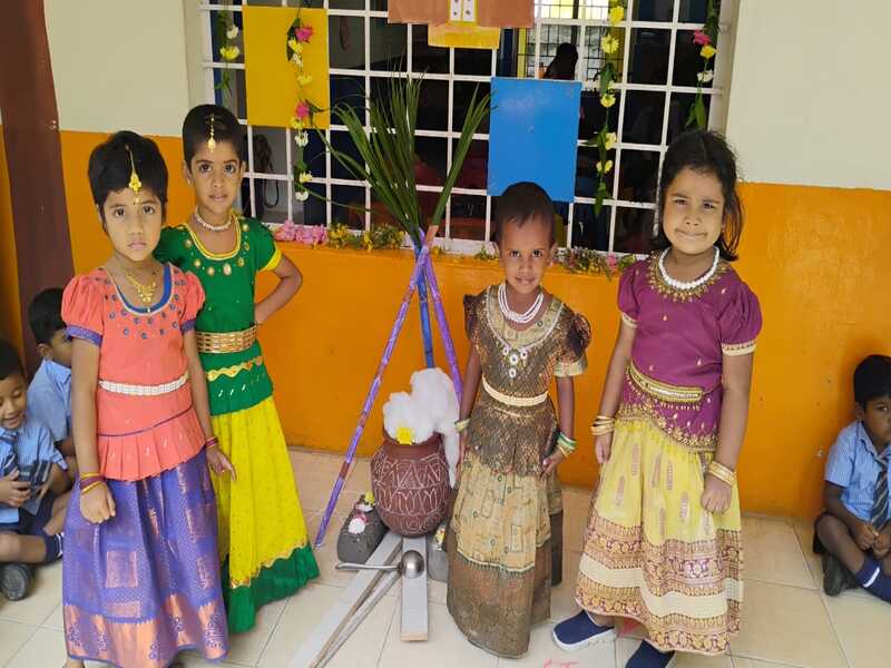 Pongal celebration