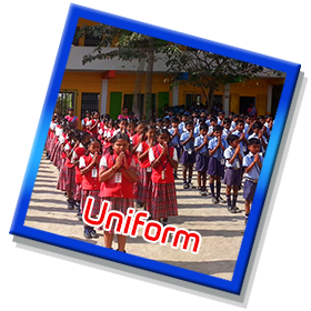 School Curriculum